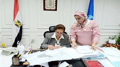 اعتماد المخططات التفصيلية لبعض قرى البحيرة