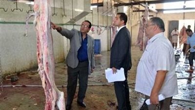 فتح 25 مجزرًا بالدقهلية مجانًا خلال أيام العيد