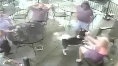 كلب يشوه وجه امرأة وصاحبه يتفرج (صور)