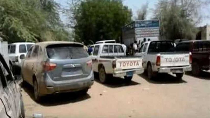 القبض على تشكيل عصابي