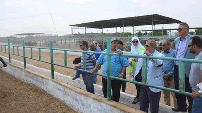 محافظ الإسماعيلية