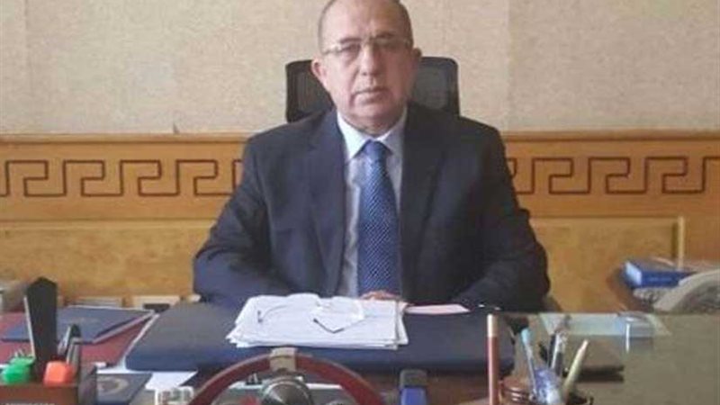 الرئيس التنفيذي لبعثة