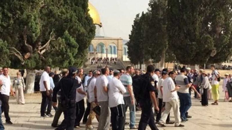 عشرات المستوطنين