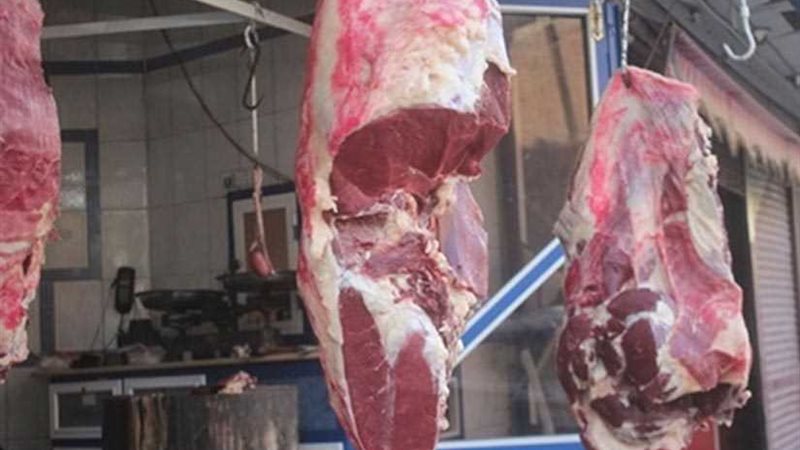 تموين بني سويف: توافر