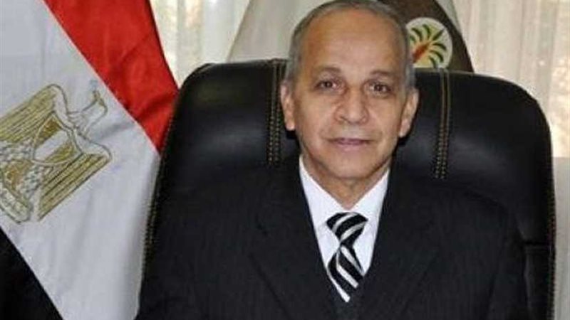 محافظ القليوبية: