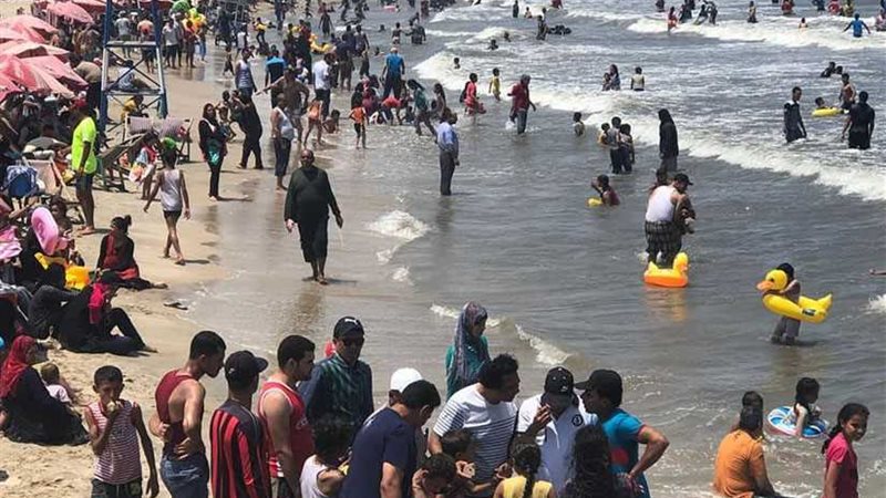 جمصة تنهي استعدادات