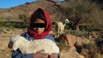 محاولة اغتصاب راعية الغنم أوقعت بالمتهم فى قبضة الشرطة