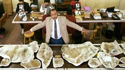 مدير مركز حفريات المنصورة يوضح تفاصيل اكتشاف حيوان 