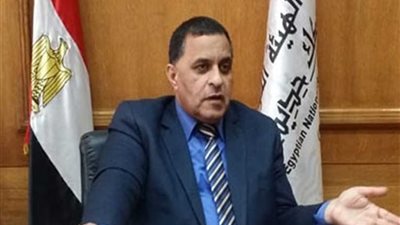 نائب رئيس 