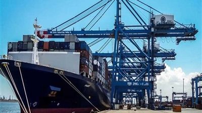 تداول 30 سفينة بضائع وحاويات بموانئ بورسعيد