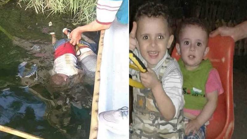 عصافير الجنة.. مواقع