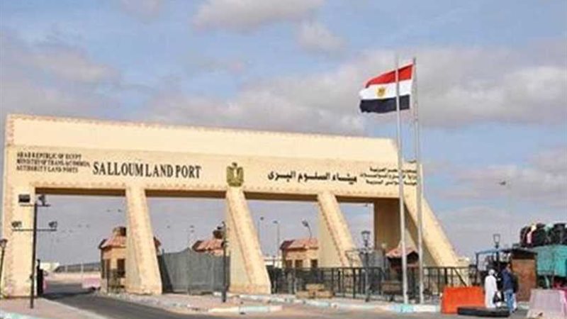 عودة 92 مصريا من