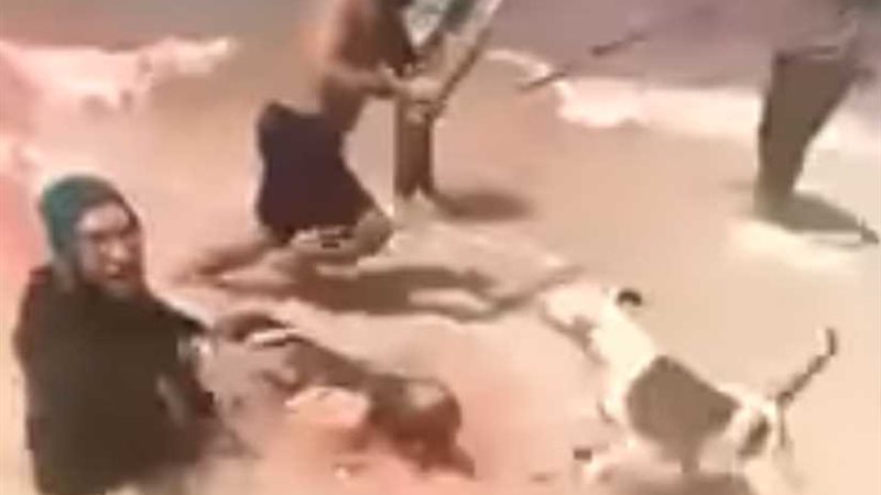 فيديو يكذّب واقعة