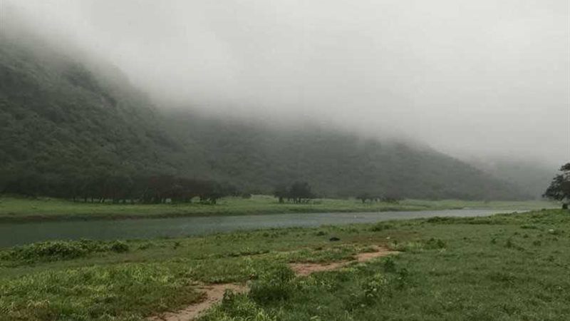 بالصور.. صلالة العمانية..