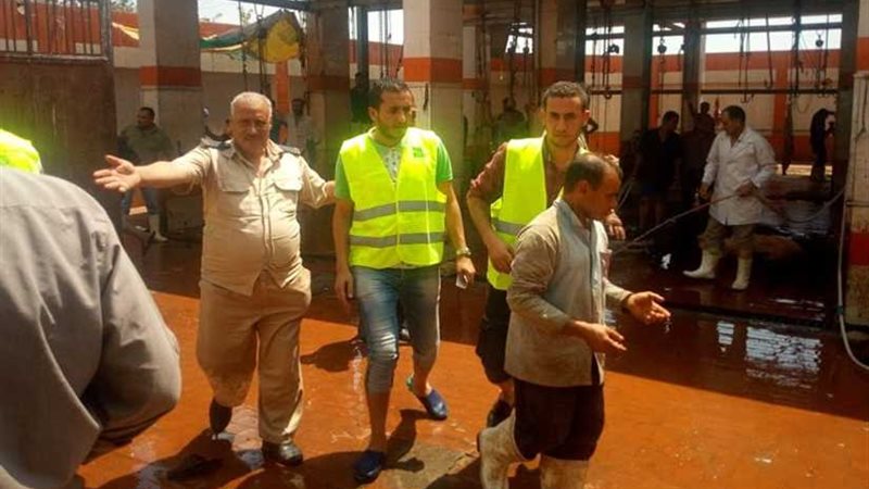 هجرس يتفقد الذبح