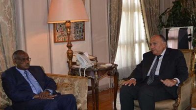 اجتماع اللجنة الوزارية المصرية السودانية برئاسة وزيري الخارجية..غدا