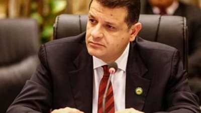 رضوان: جولة الرئيس الفيتنامي بمصر تؤكد متانة العلاقات بين البلدين