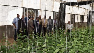 افتتاح المزرعة السمكية بزراعة بنها