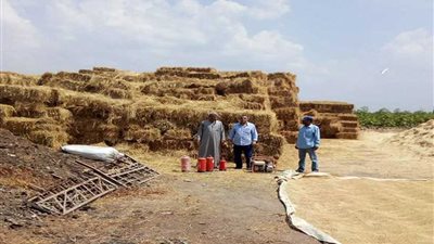 البيئة تضاعف جهودها بكفر الشيخ لمواجهة حرق قش الأرز