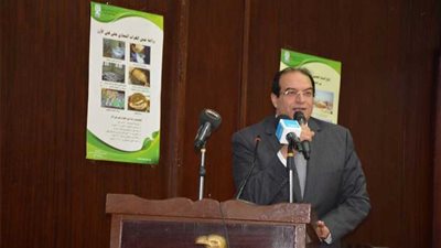 محافظ الدقهلية يوضح موقف حرق قش الأرز