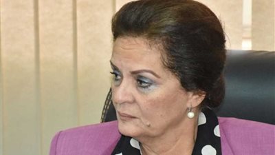 تشغيل 55 من شباب الخريجين بالشركات الاستثمارية بالبحيرة