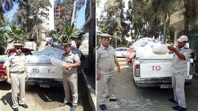 المسطحات المائية تشن حملات مكبرة للحفاظ علي الثورة السمكية بـ 