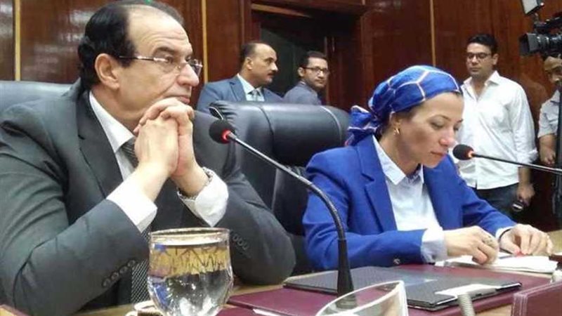 وزيرة البيئة: 19