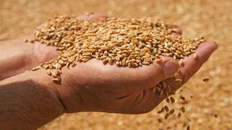 السلع التموينية تتعاقد