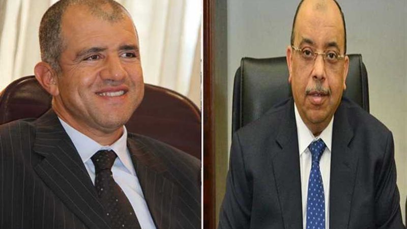 وزير التنمية المحلية