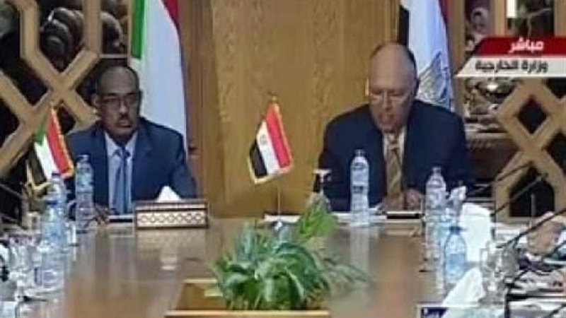 شكري: يجب تعزيز التعاون