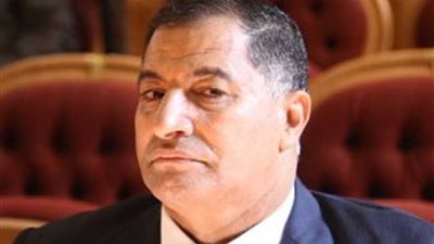 ضيف يطالب محافظي الصعيد الجدد للاهتمام بتنميته