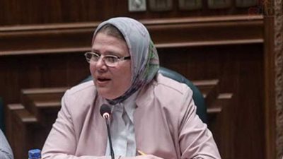 نائبة تطالب بإلغاء وزارة البيئة