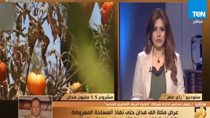 شروط وخطوات الحصول