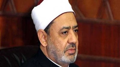 الإمام الأكبر لسفير هولندا: حرية الرأي والتعبير لا يمكن أن تكون مبررًا للإساءة إلى الأديان