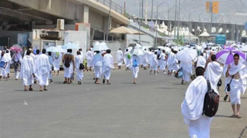 الصحة تعلن تردد 105857