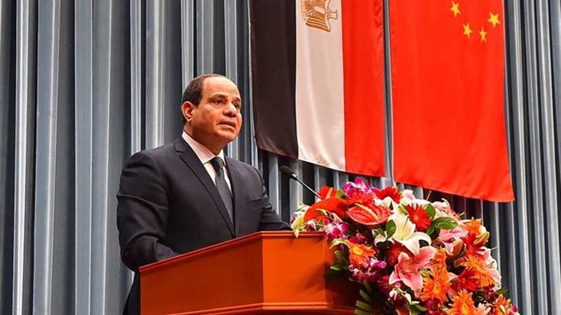 رئيس حزب مصر الوطن: