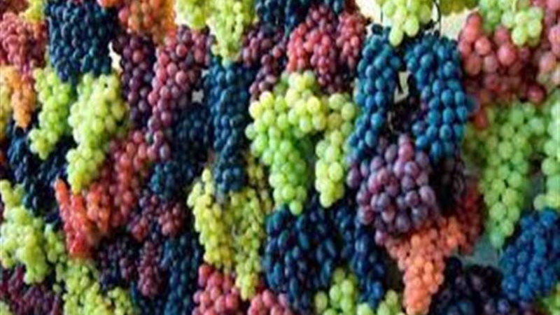 الصادرات والواردات: