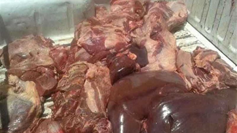 ضبط 14طن كبدة فاسدة