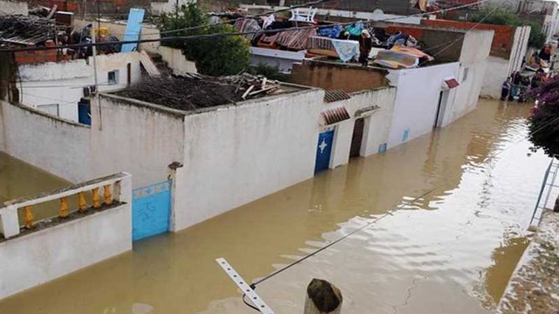 الأمطار تقتل 1400