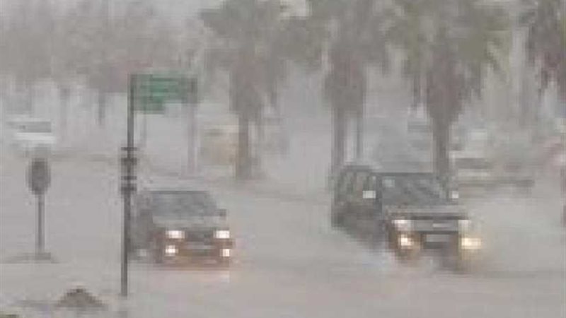 اتخاذ كافة التدابير