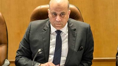 عمرو غلاب: جولة الرئيس السيسي الآسيوية لتنويع شركاء مصر الاقتصاديين