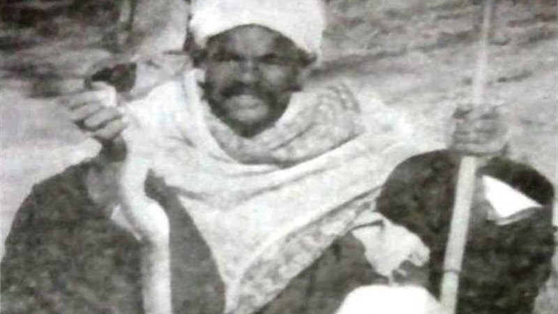 أشهر حاوي بالأقصر