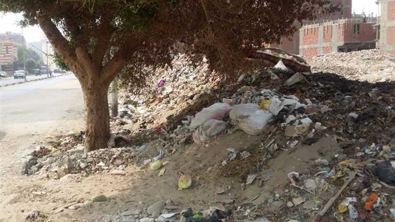 إنشاء حديقة عامة