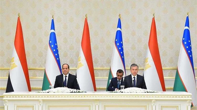 السيسي و ميرضيائيف