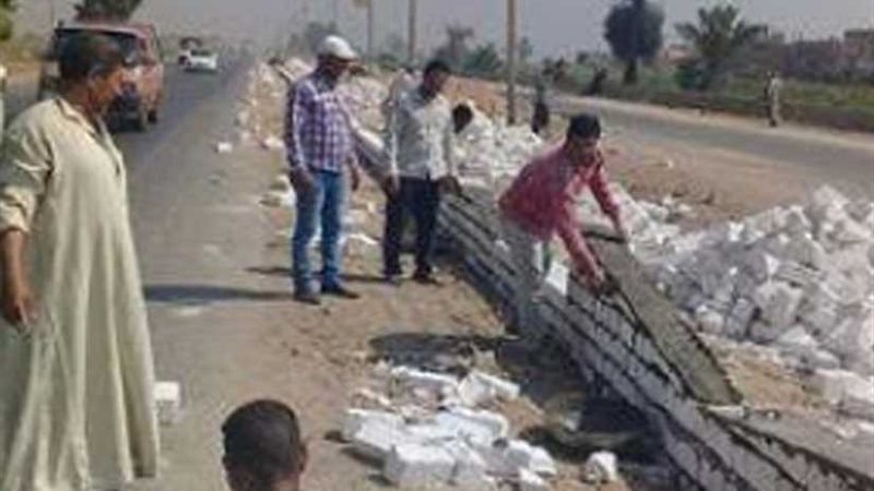 المنيا تواصل تجميل