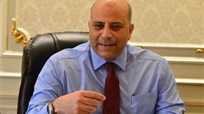 غلاب: العلاقات المصرية- القبرصية نموذج متميز للتحالفات الإقليمية مع دول الجوار البحري