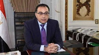 مجلس الوزراء ينفى تفشي الملاريا بالغربية