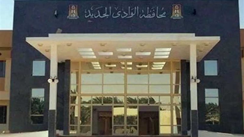 الوادي الجديد : طرح