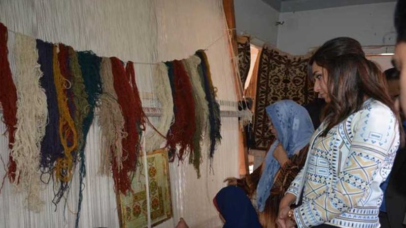 نائب محافظ البحيرة