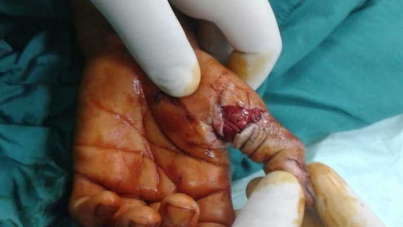 المعاهد التعلمية: